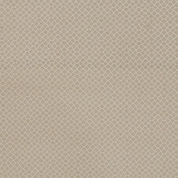 GOTHIC TRACERY | OYSTER - Upholstery - Fabric