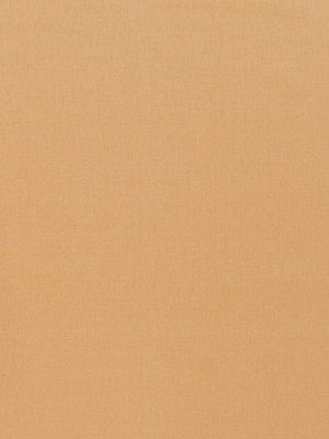 Basic Scene | Butternut - Multi-purpose