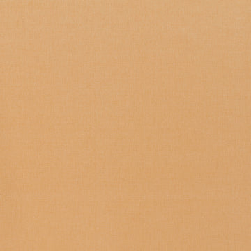 Basic Scene | Butternut