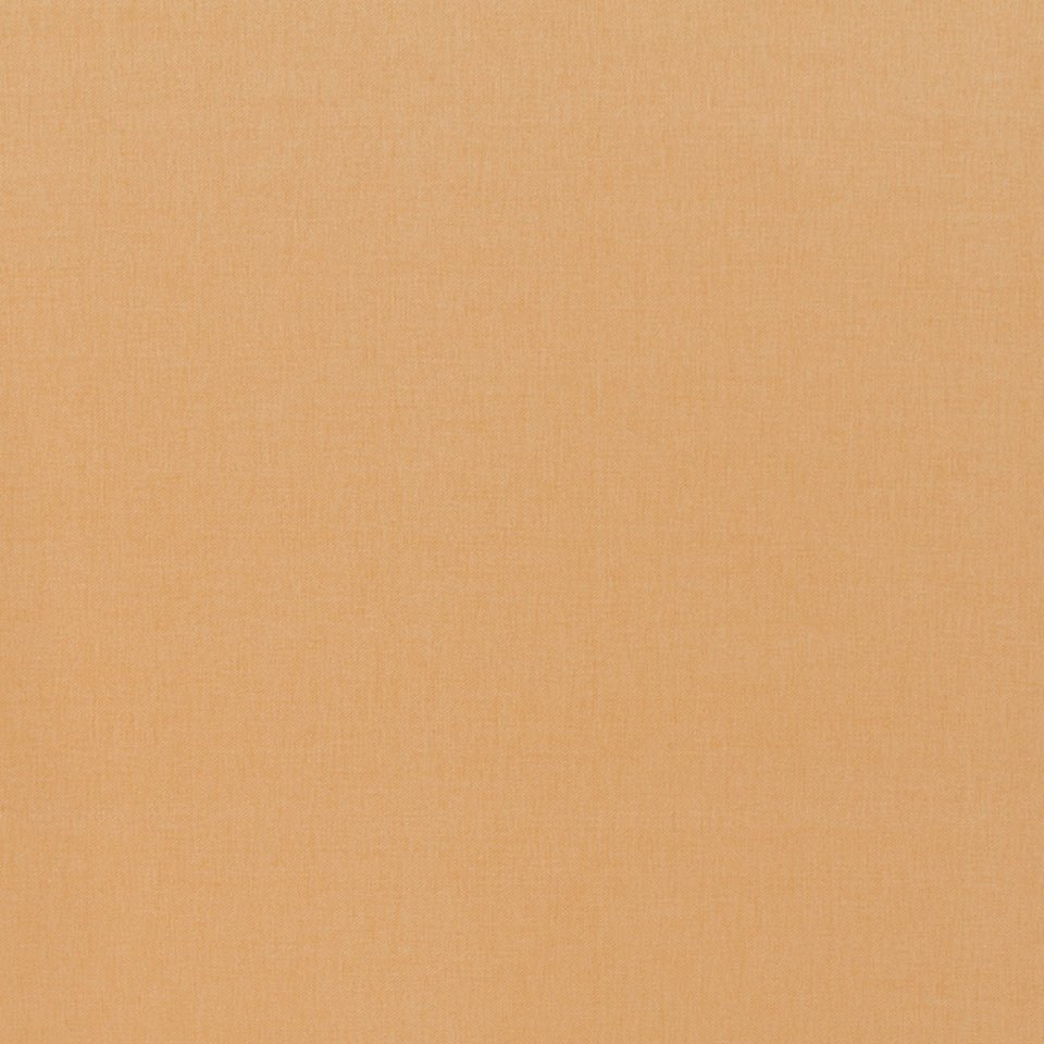 Basic Scene | Butternut - Multi-purpose