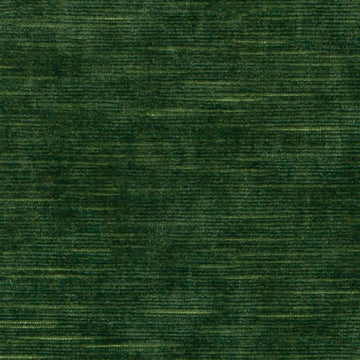 Hv16247 | 323-Evergreen