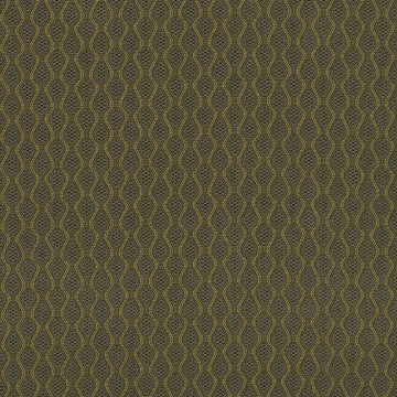 HU16237 | 343-CACTUS