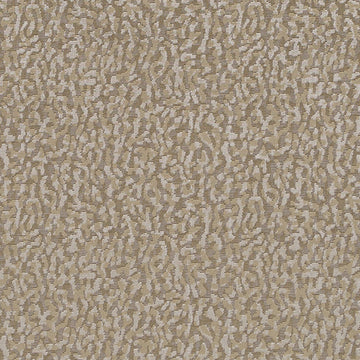 Hv16248 | 160-Mushroom