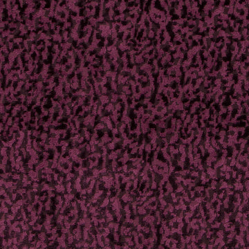 Hv16248 | 95-Plum