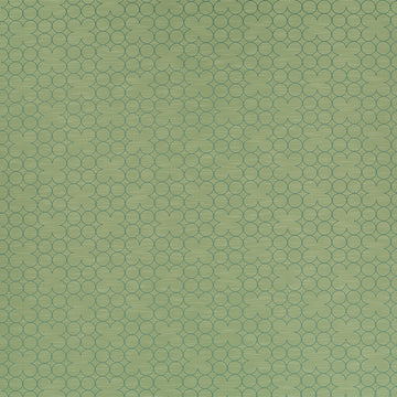 DN16340 | 399-PISTACHIO