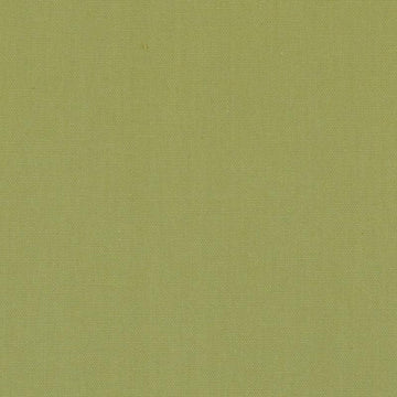 DK61731 | 213-LIME - Upholstery - Fabric