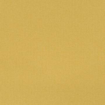 BOSPORUS | DAFFODIL