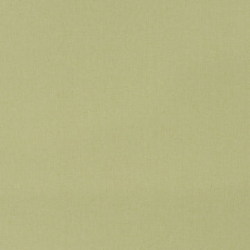 BOSPORUS | CELERY