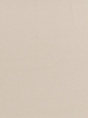 Twill Effect Bk | Cream - Woven - Fabric