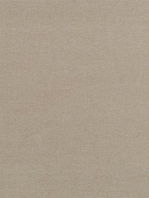Twill Effect Bk | Dune - Woven - Fabric