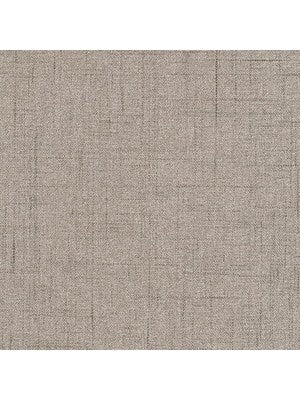 GUADELOUPE B/O | PLATINUM - Drapery - Fabric