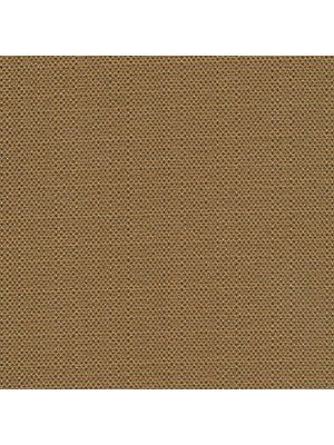 HALISI BLACKOUT | CAMEL - Drapery - Fabric