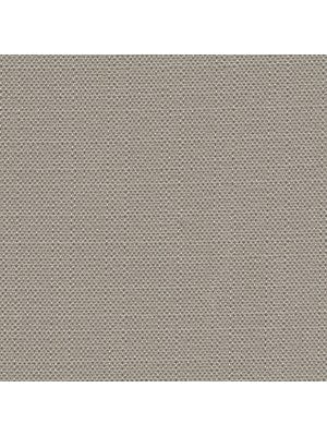 HALISI BLACKOUT | GREYSTONE - Drapery - Fabric