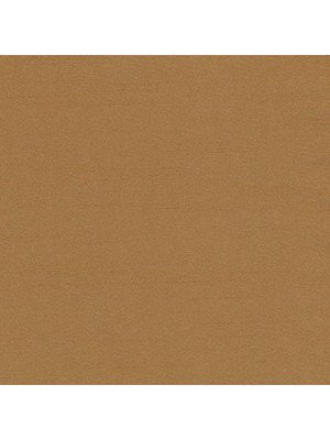 TENMARU BLKOUT | CAMEL - Drapery - Fabric