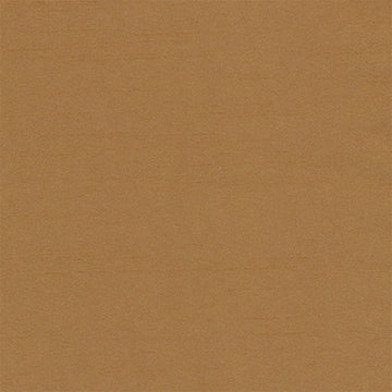TENMARU BLKOUT | CAMEL - Drapery - Fabric