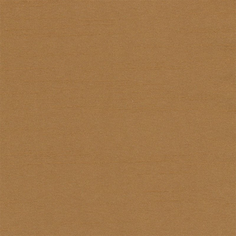 TENMARU BLKOUT | CAMEL - Drapery - Fabric