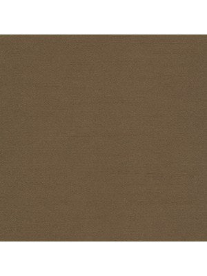 TENMARU BLKOUT | TAUPE - Drapery - Fabric