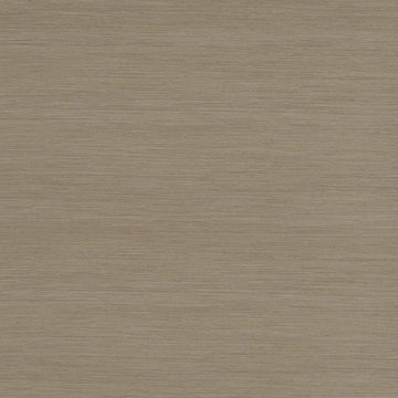 MAGUS LINIA | TAUPE - Drapery - Fabric