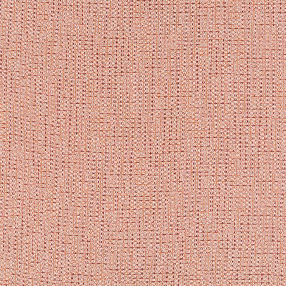 WINLOCK | EMBER - Multi-purpose