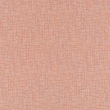 WINLOCK | EMBER - Multi-purpose