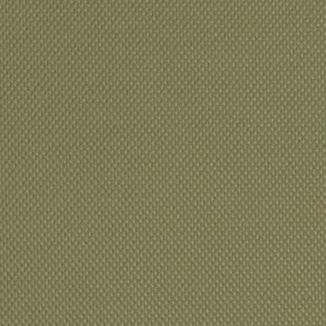 DF16291 | 354-BASIL