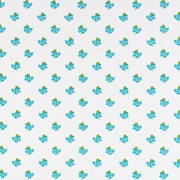 KARAKITO | AQUA