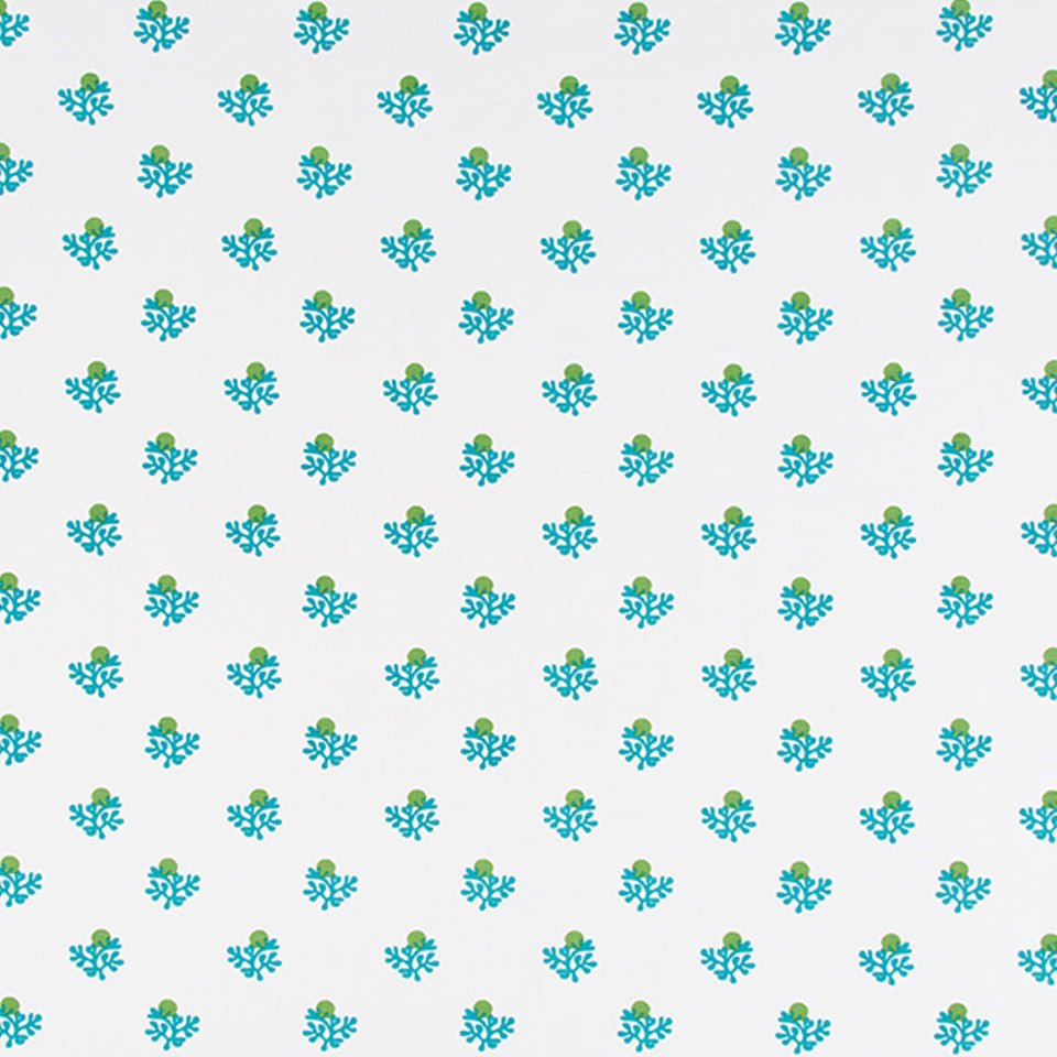 KARAKITO | AQUA - Multi-purpose