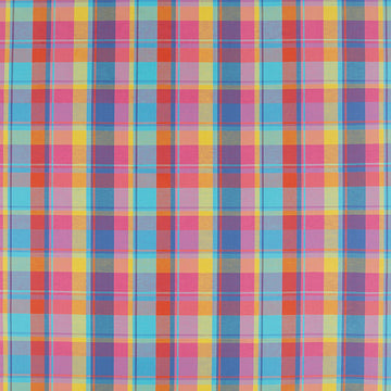 MADRAS PLAID | PEONY