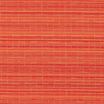 DN16399 | 33-PERSIMMON