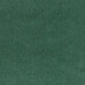 HV16460 | 597-GRASS