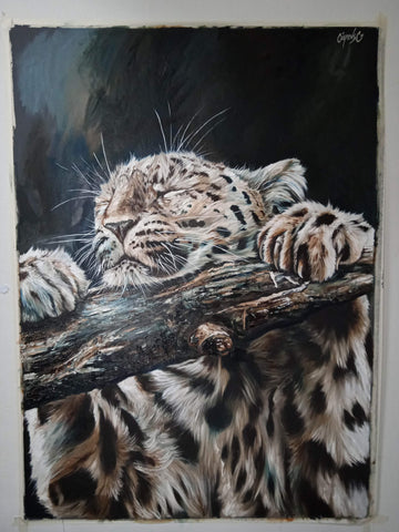 Leopard-Covid