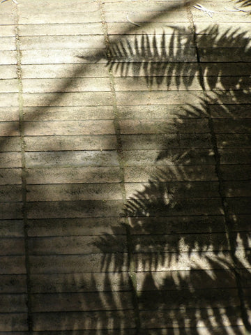 Naturally 3 - Home Decor: RA Artwork