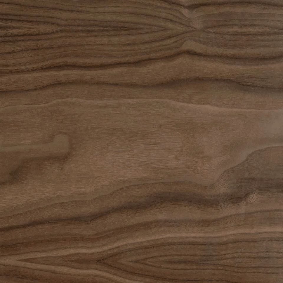 Centipede 2 | Small Unique Bench - Furniture