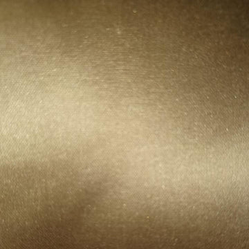 SILK TAFFETA | MISTLETOE - Drapery - Fabric