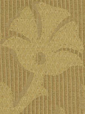 PHAEDRA | HONEY - Upholstery - Fabric