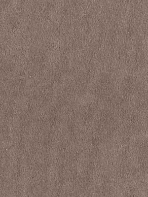 CRYPTON SUEDE | STORM