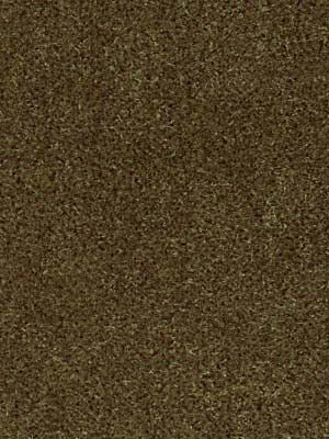 PLUSH MOHAIR | TUSCAN OLIVE