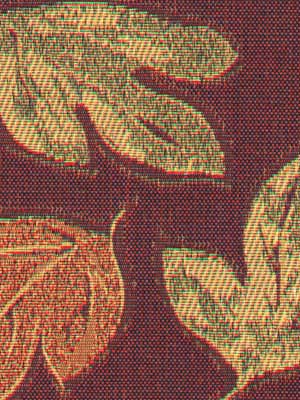 AUTUMN BREEZE | BOYSENBERRY