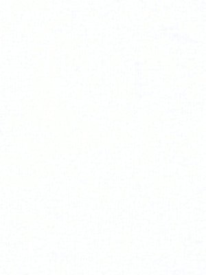 INTERLINING | WHITE - Drapery - Fabric