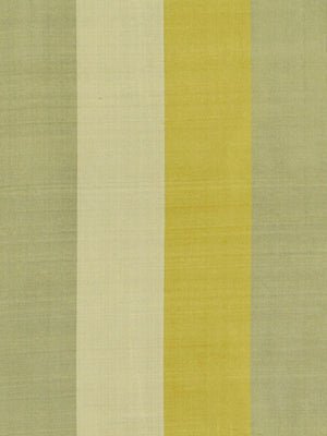 PALMEIRO | PEAR - Multi-purpose