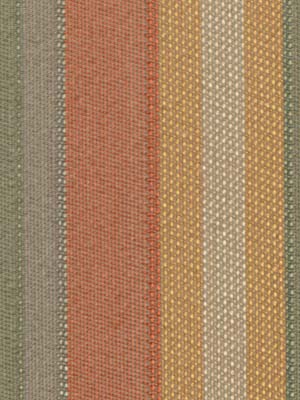 EAST HAVEN | APRICOT