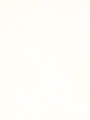 LUXESUEDE | MILK - Upholstery - Fabric