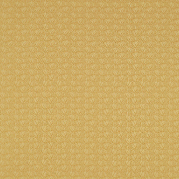 EVERMORE AV | BUTTERNUT
