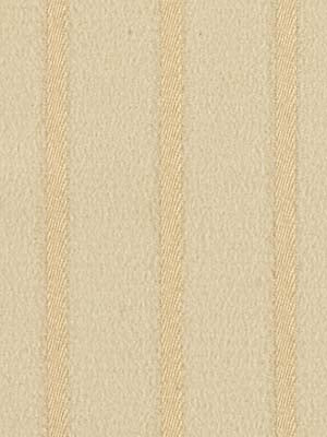 Striped Suede | Champagne