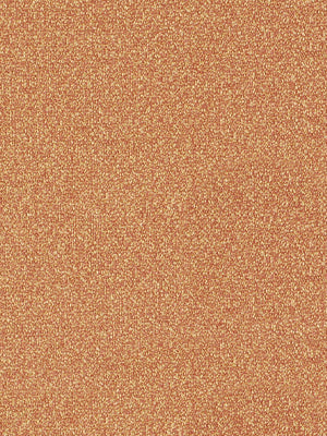 Asperity | Melon