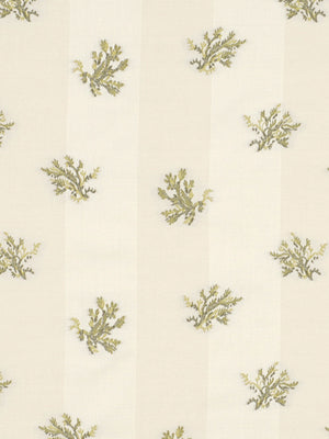 SEA CORAL | REED