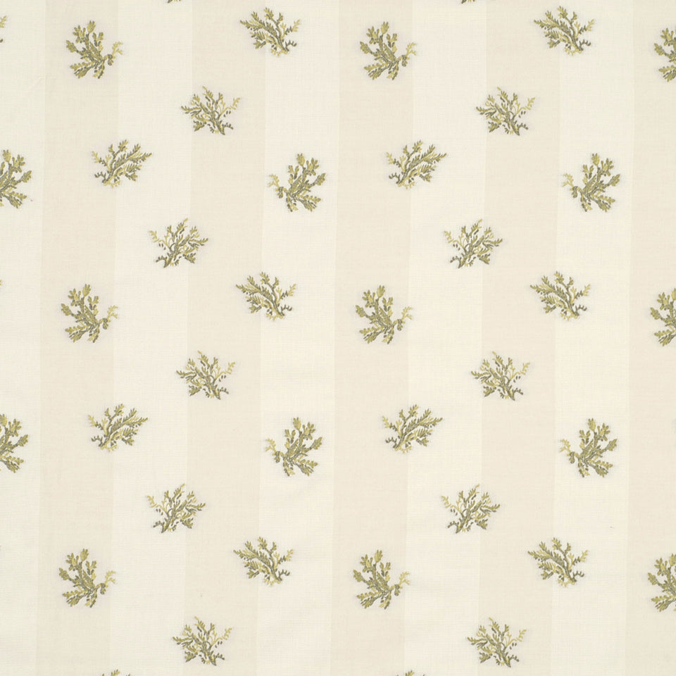 SEA CORAL | REED