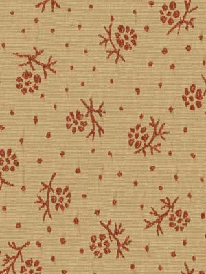 BLOOMERS | ADOBE