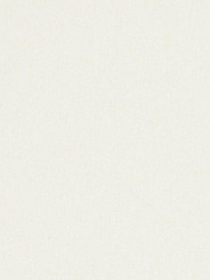 DOWNEY 54 | PARCHMENT
