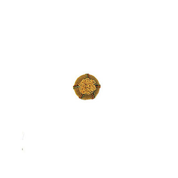 LUNA | GOLDENROD